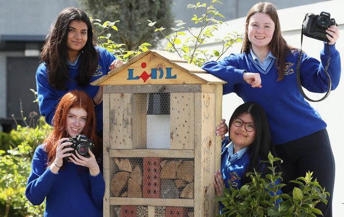 Bees Competition Winner