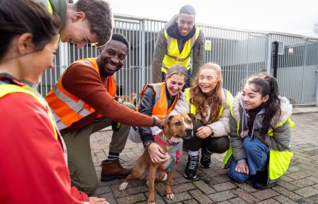 people petting a dog