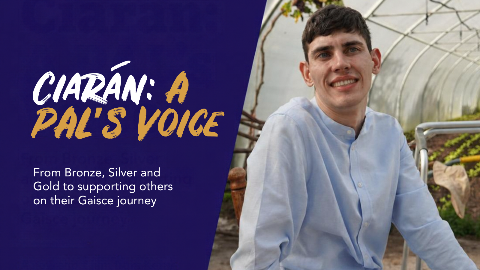 Ciaran A PAL's Voice
