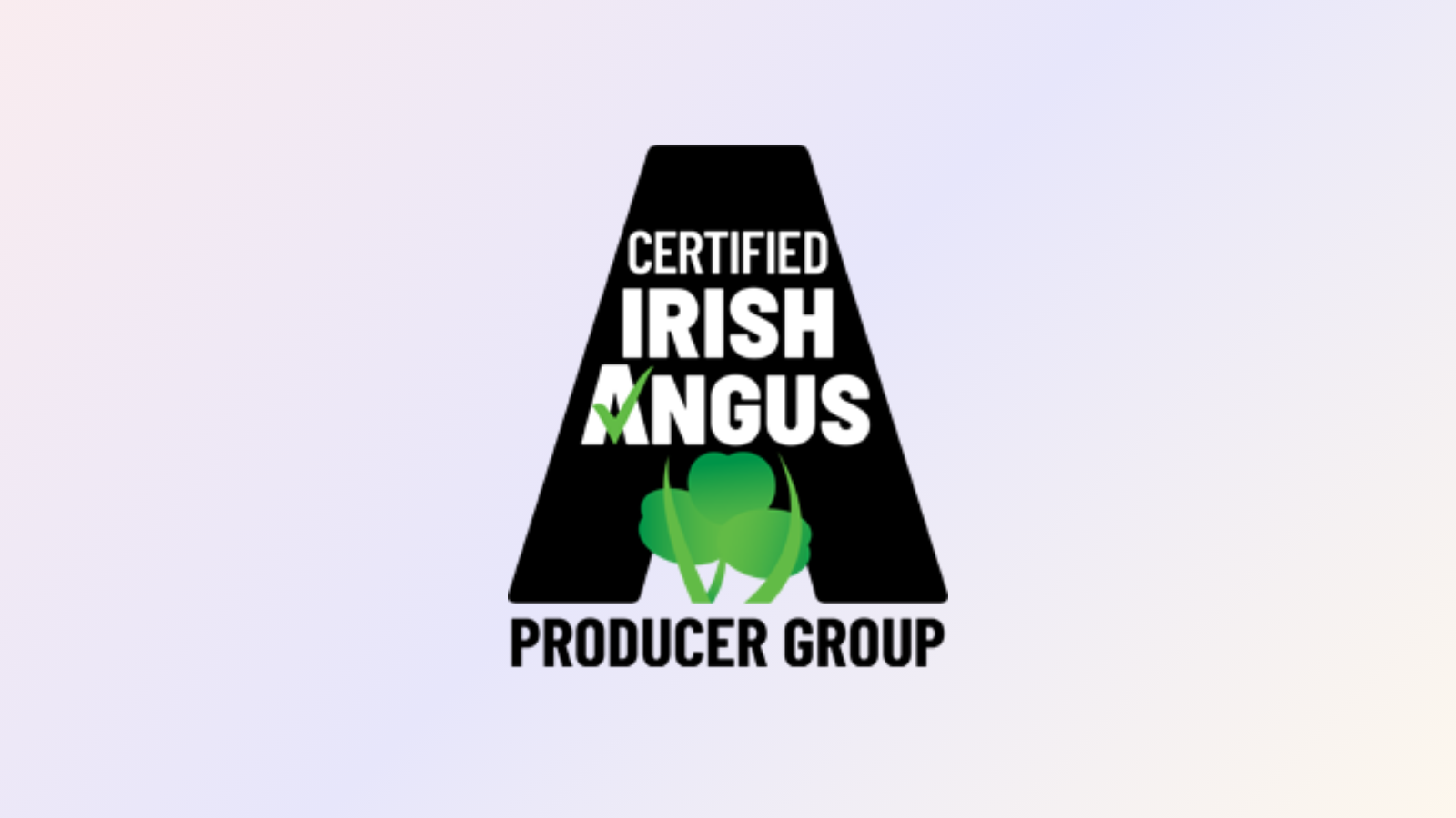 Irish-Angus-Schools-Competition