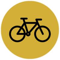 image Activity - Biking